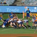 Brumbies vs Blues