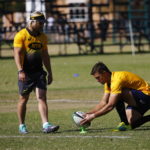 Best Bok combos need time to grow