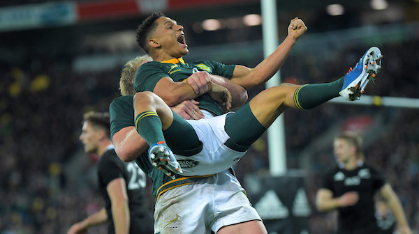 Review: Top Bok tries of 2019