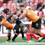 Golden Lions hit by injuries