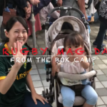 Springboks in Japan