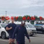 Watch: Boks return to training