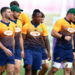 The Springboks