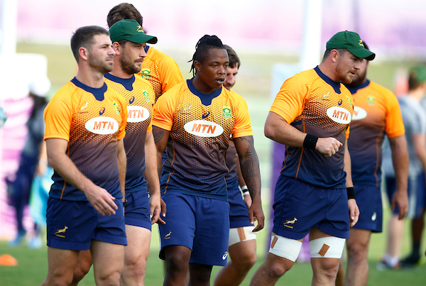 The Springboks