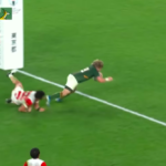 Springboks