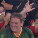 Springboks fan