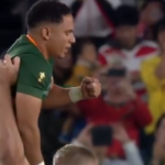 springboks