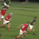 Top 10 World Cup tries