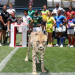 A cheetah joins the International Captains team photo at Cape Town Stadium