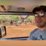Watch: Springbok in the bush