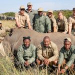 Watch: Sharks venture into bush, assist conservationists