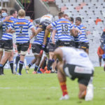 Western Province celebrate against the Cheetahs