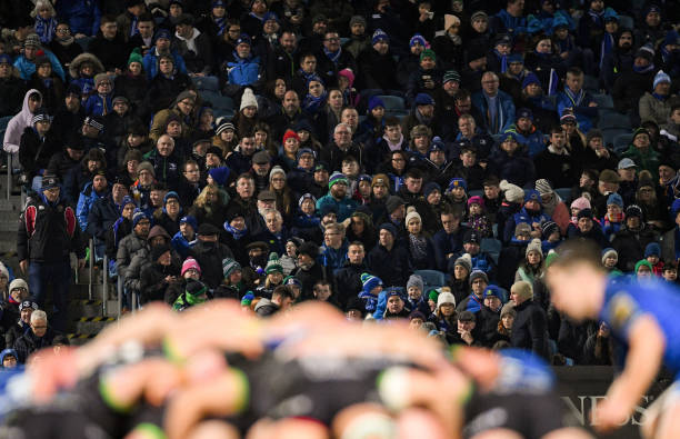 Leinster fans RDS Arena spectators trial