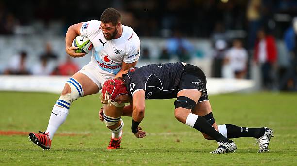 Bulls prop Marcel van der Merwe