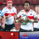 Lions hold on to deny plucky Province