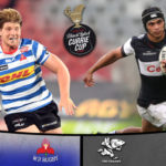 Swiel boots Province to win over Sharks