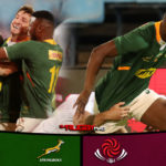 Fassi shines as Boks overpower Georgia